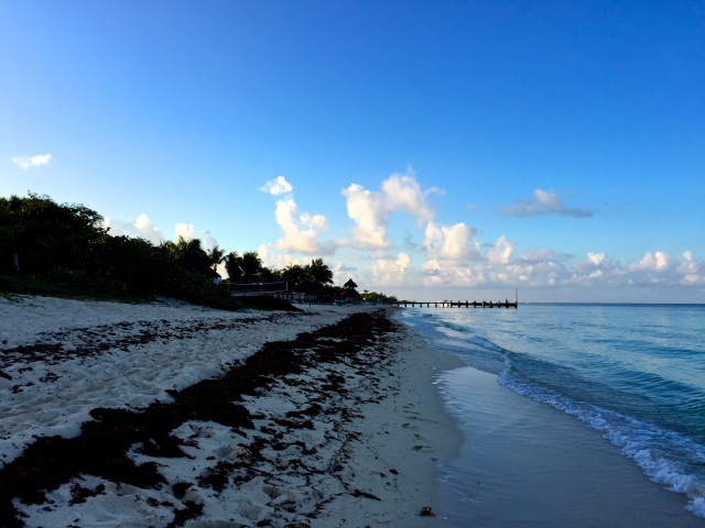 Beaches of Cozumel | Scones in the Sky Blog