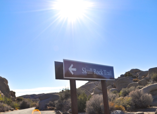 Skull Rock Trail | Joshua Tree National Park